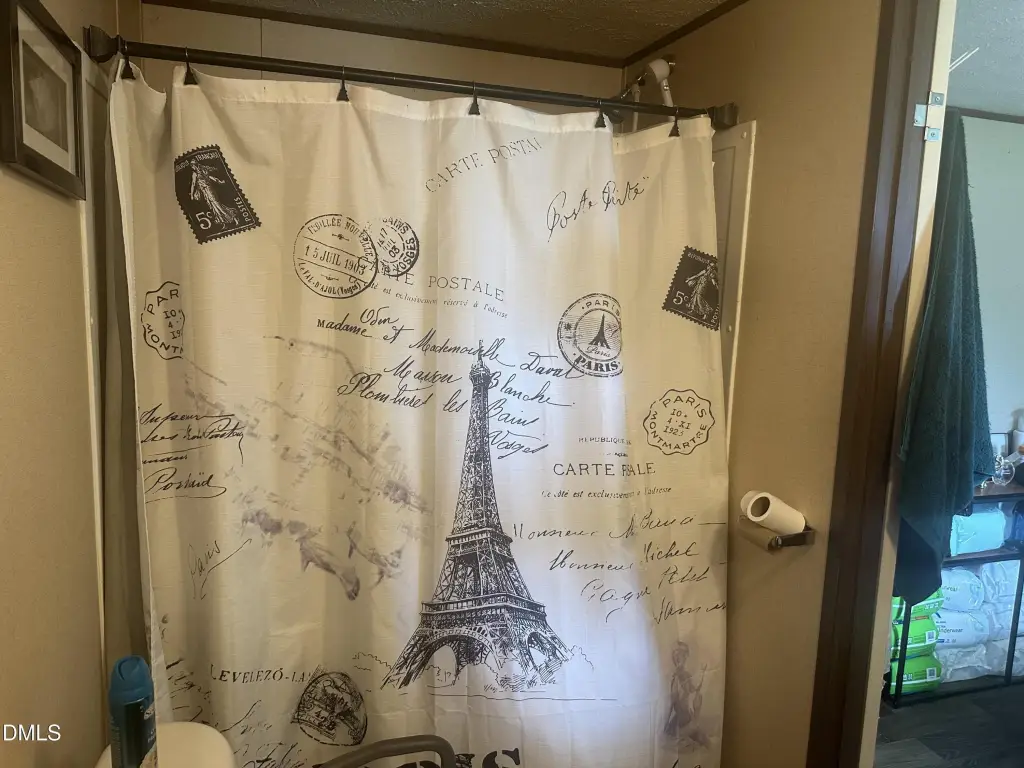 Picture 17