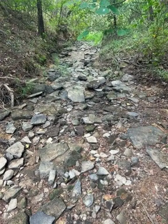 Picture 4