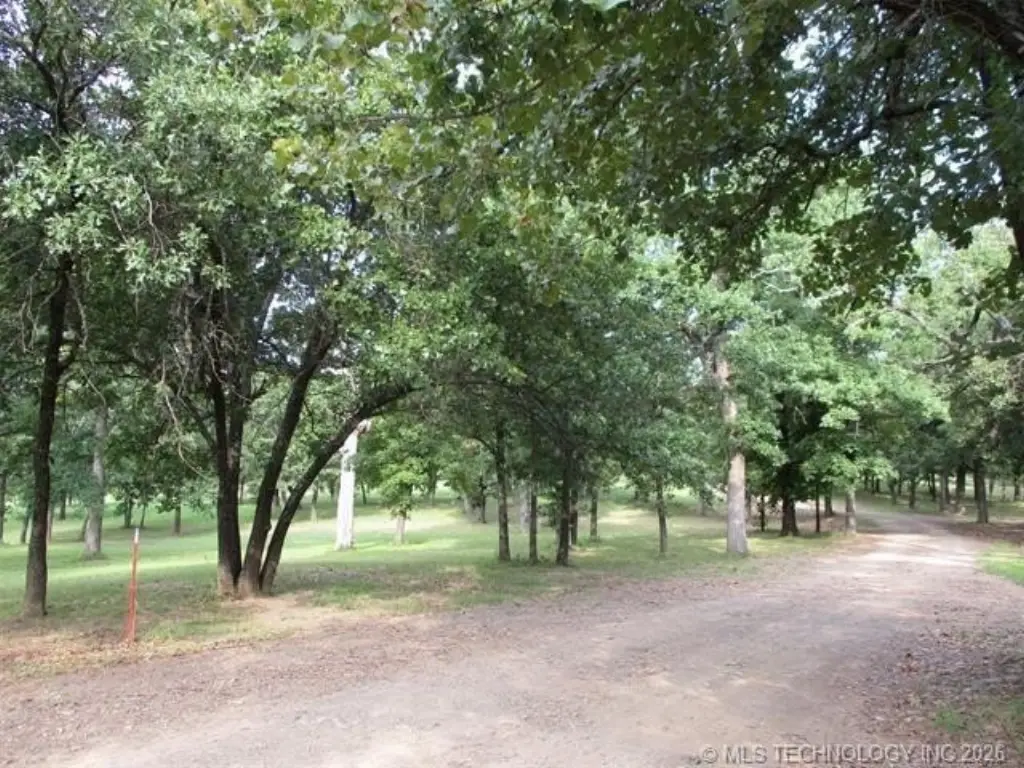 Picture 20