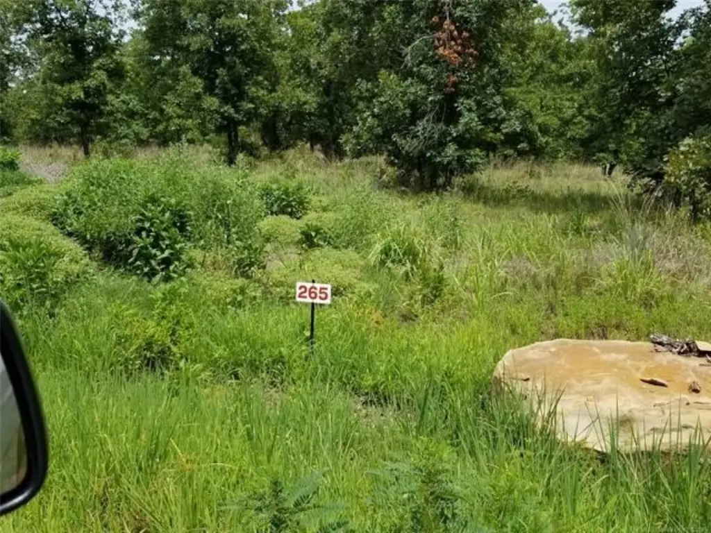 Picture 6