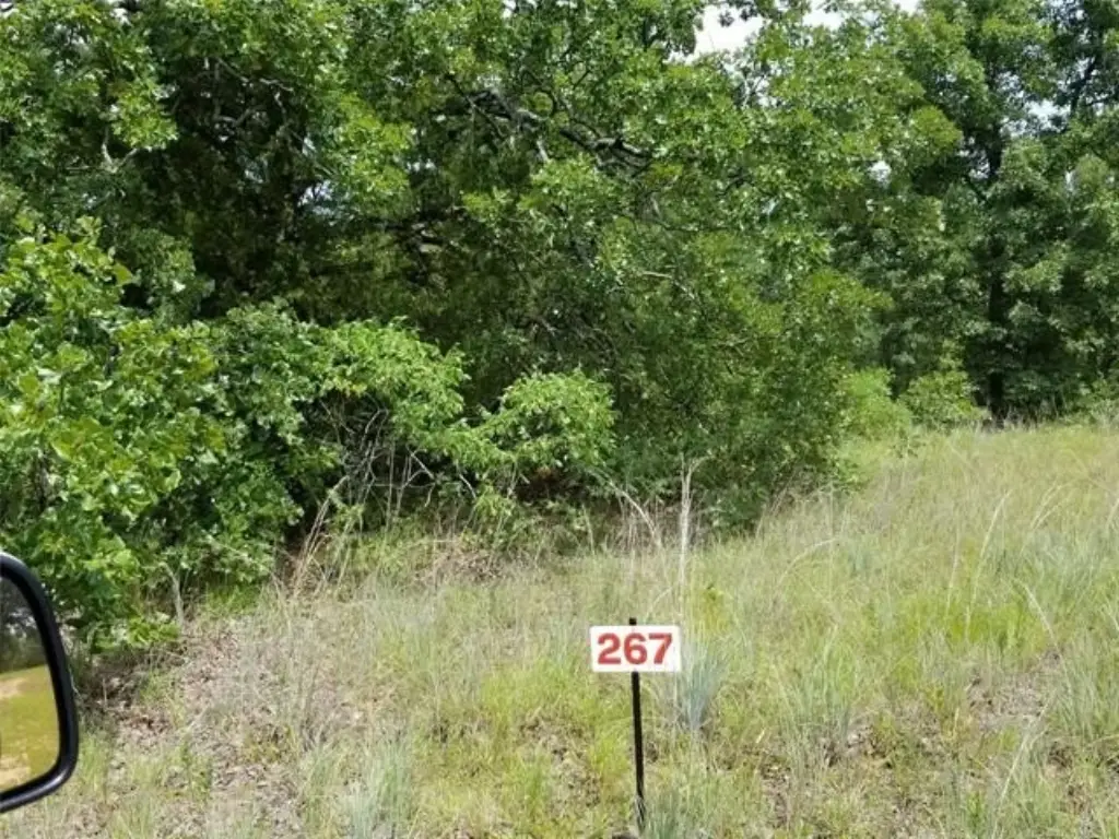 Picture 6