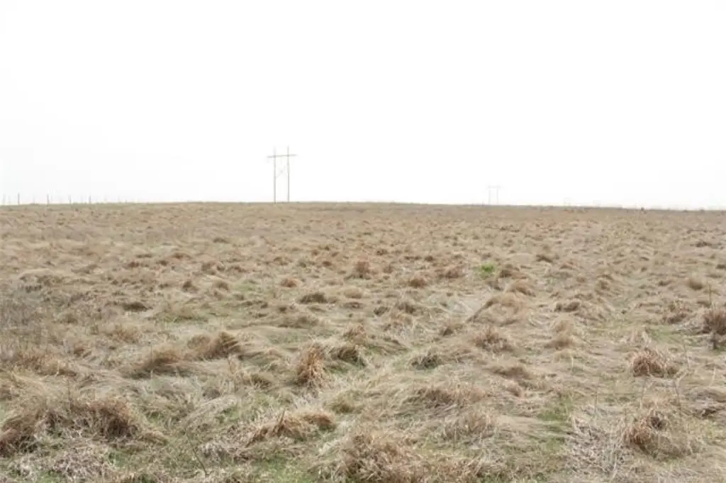 Picture 30