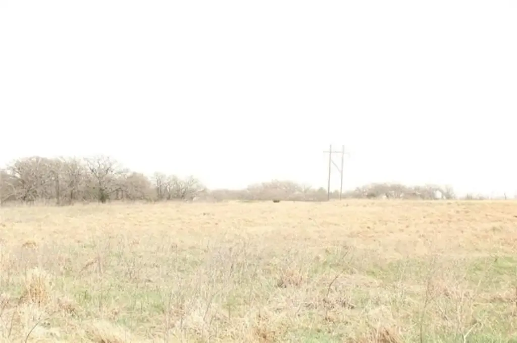 Picture 24