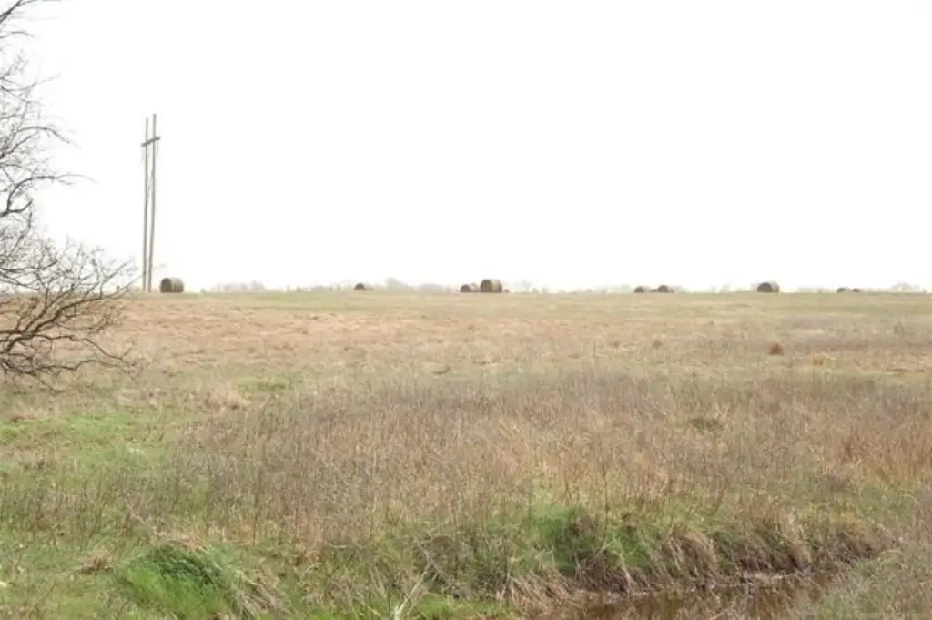 Picture 23