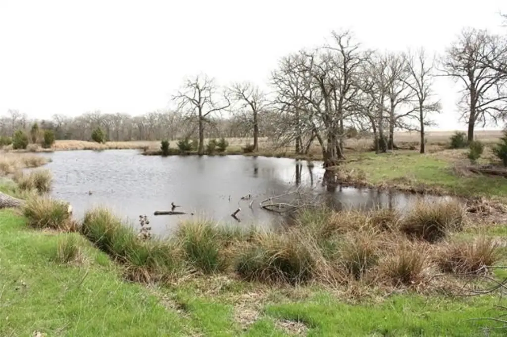 Picture 16