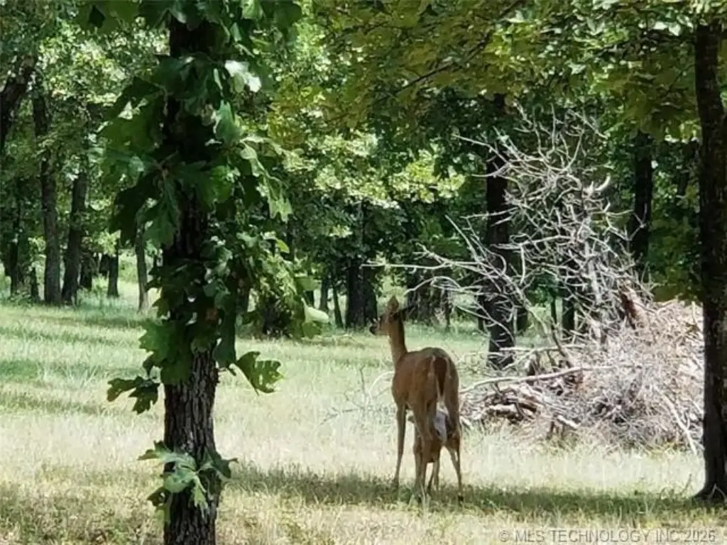 Picture 23