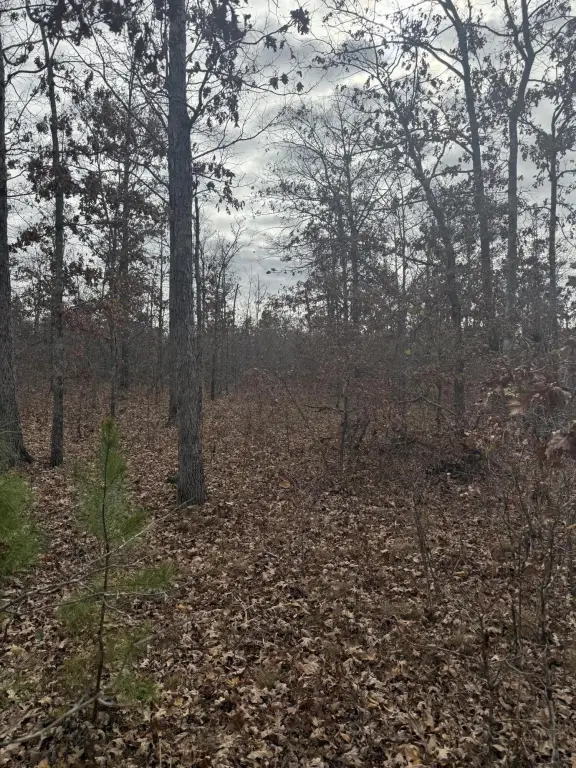 Picture 13