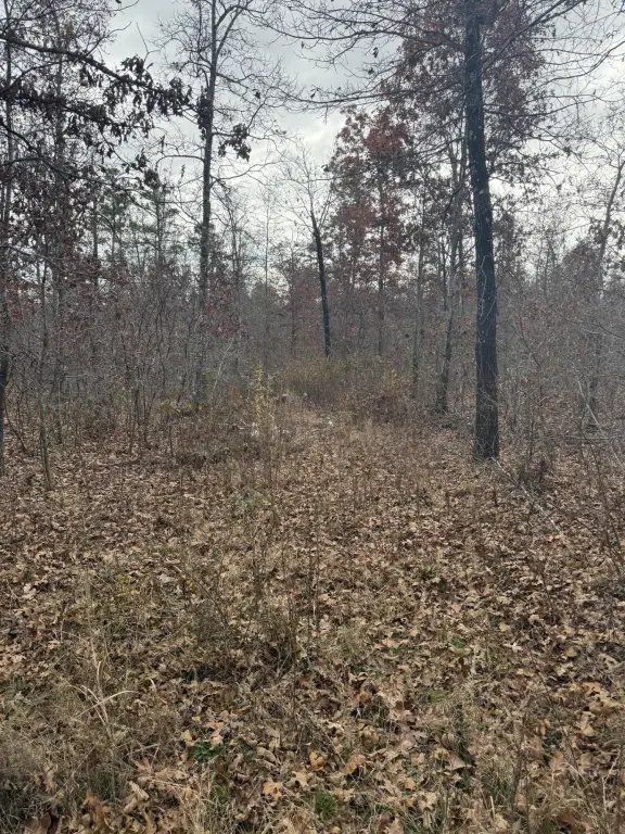 Picture 16