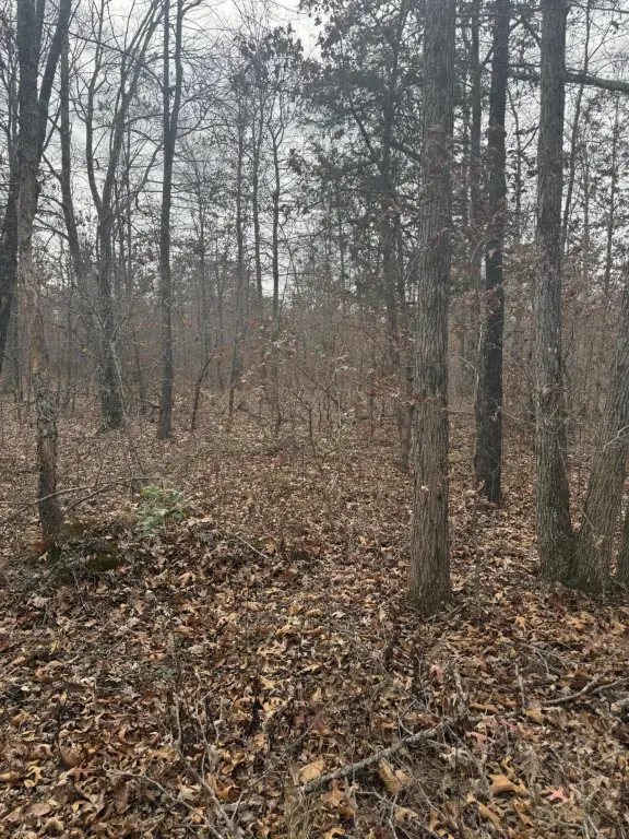 Picture 19