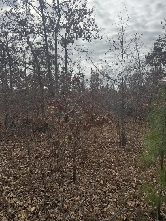Picture 12