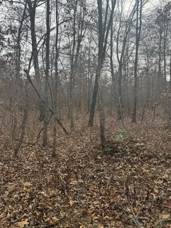 Picture 17