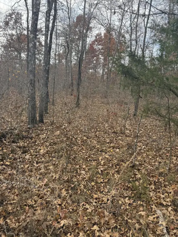 Picture 4