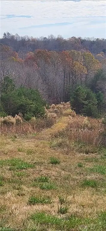 Picture 22