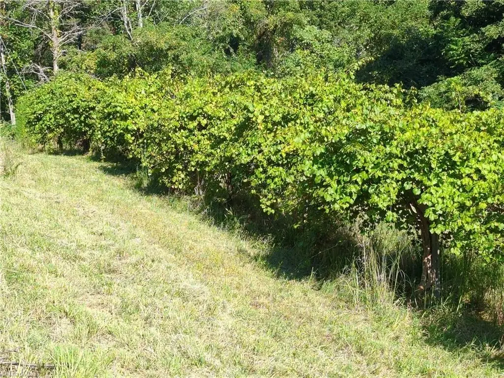 Picture 19