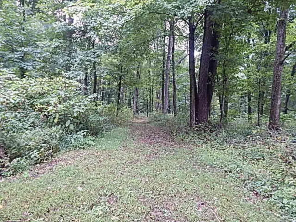 Picture 24