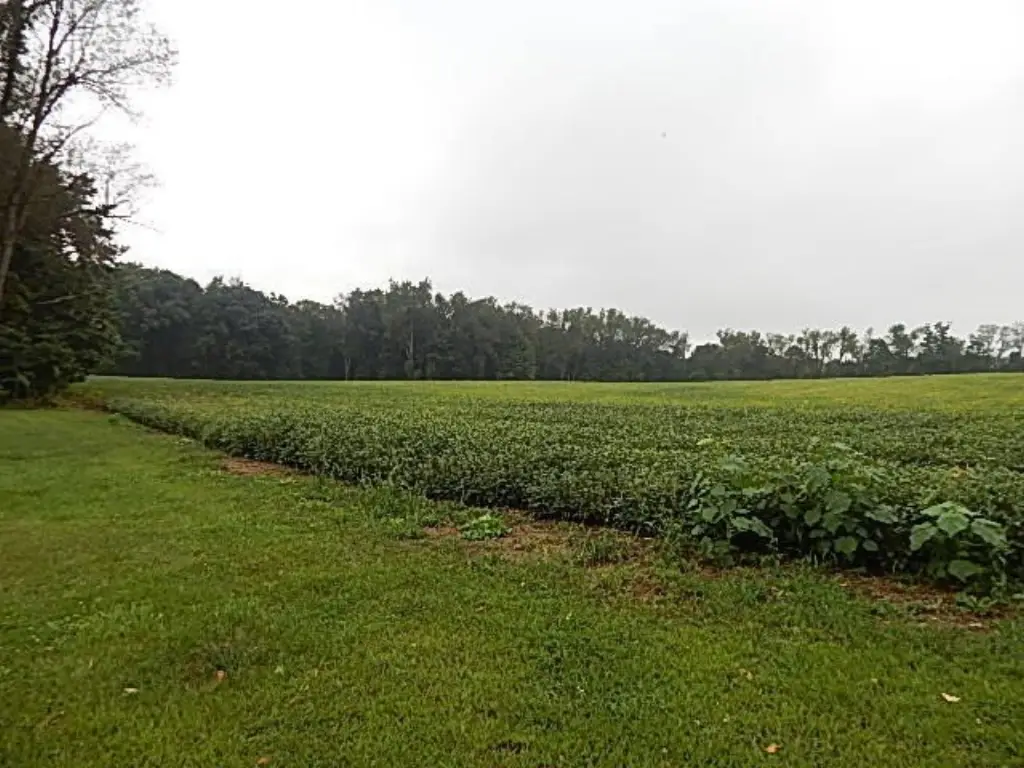 Picture 18