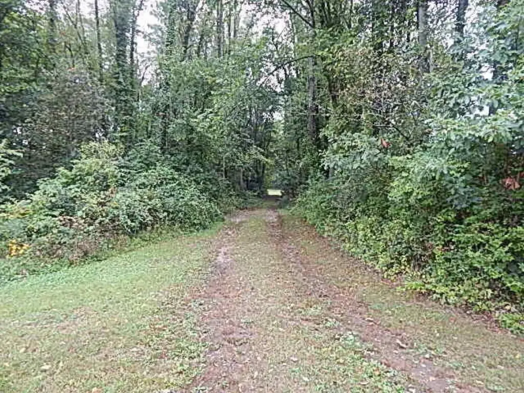 Picture 20