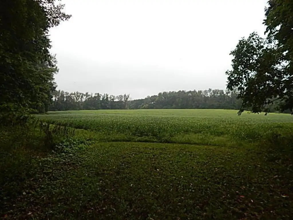 Picture 22