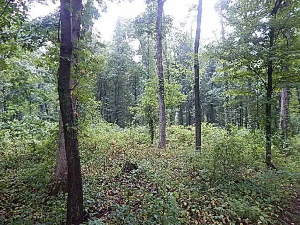 Picture 25