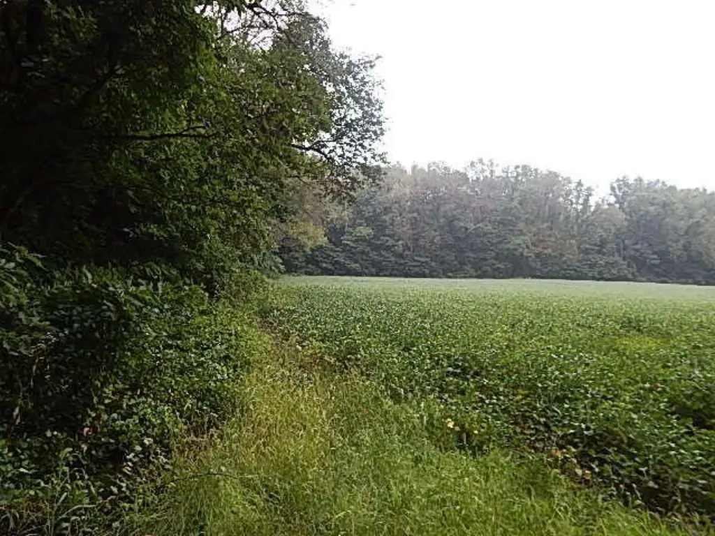 Picture 34