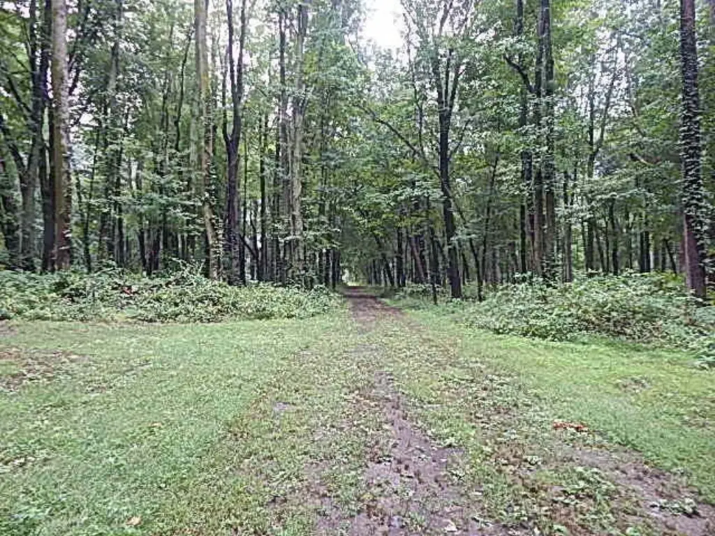 Picture 30