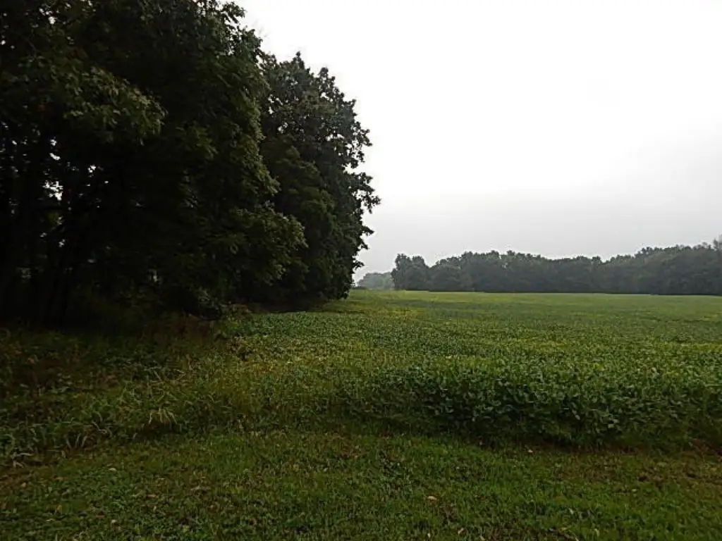 Picture 15
