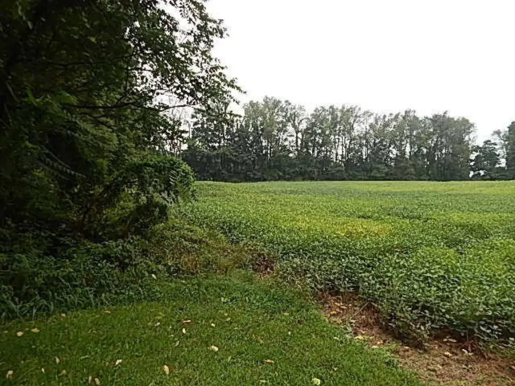 Picture 11