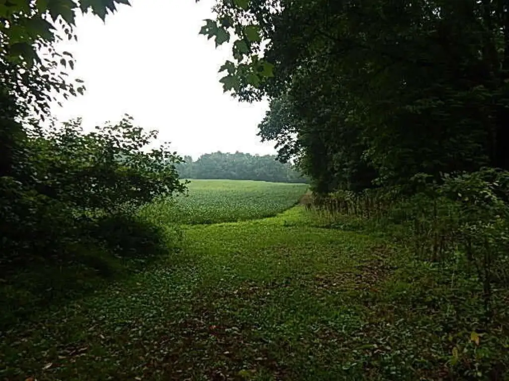 Picture 21