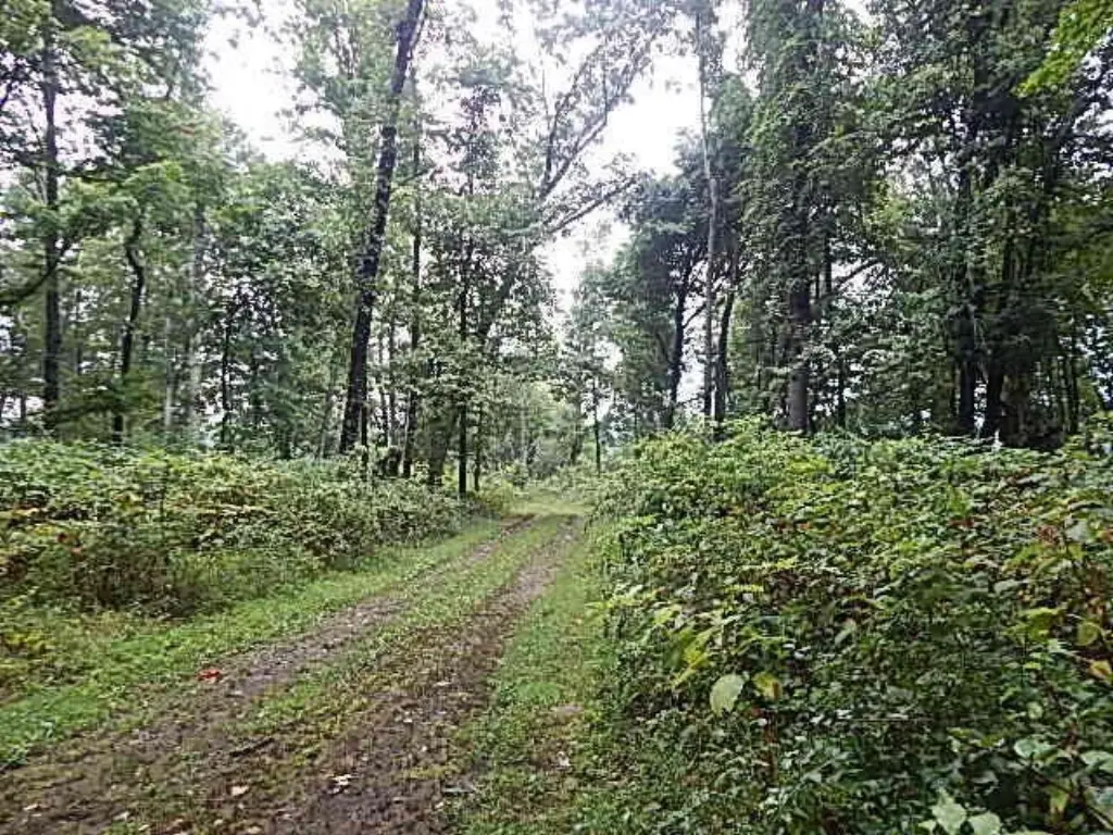 Picture 29