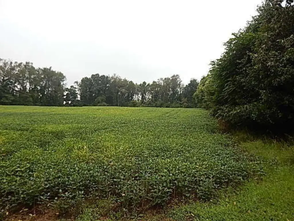 Picture 10