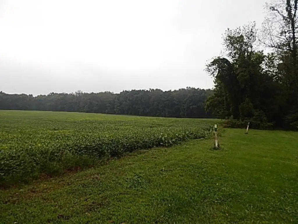 Picture 16