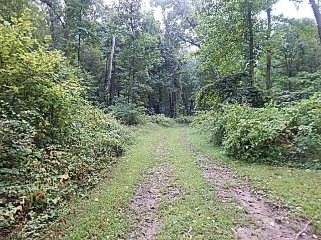 Picture 23