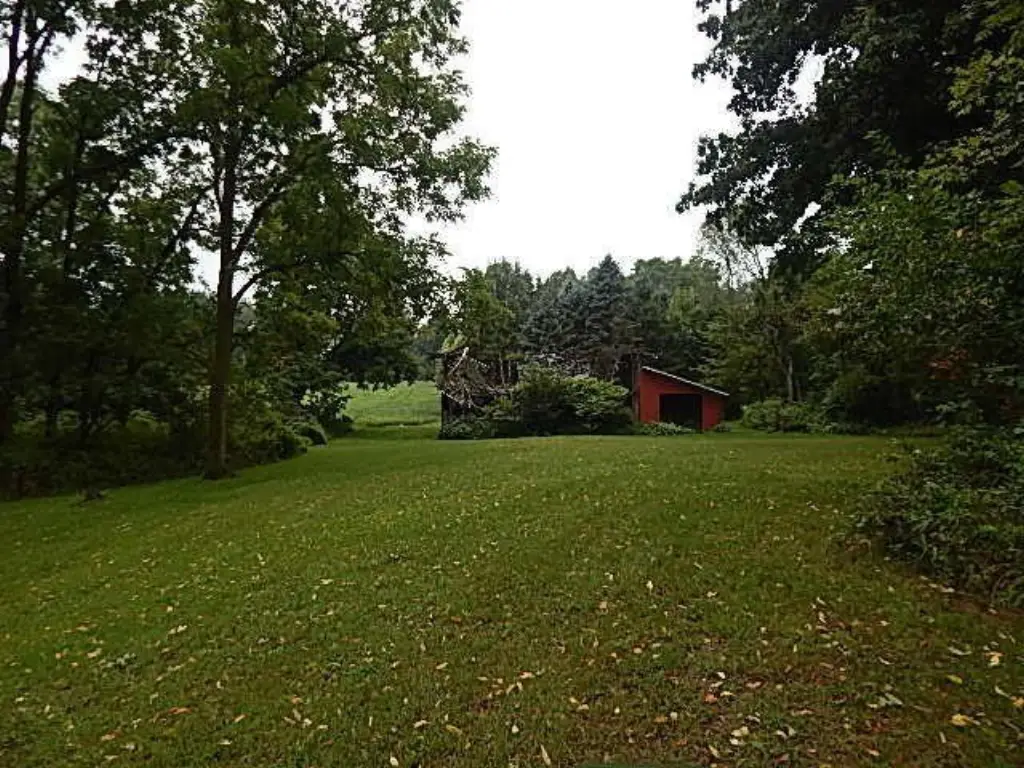 Picture 7