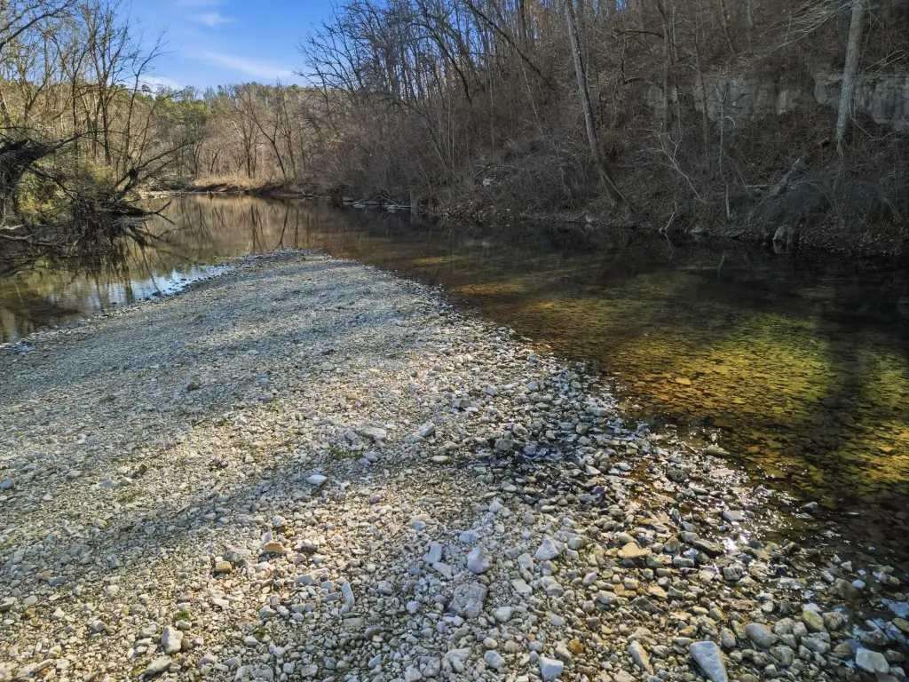 Picture 13