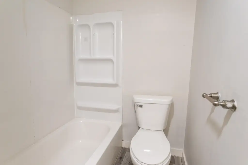 Picture 12