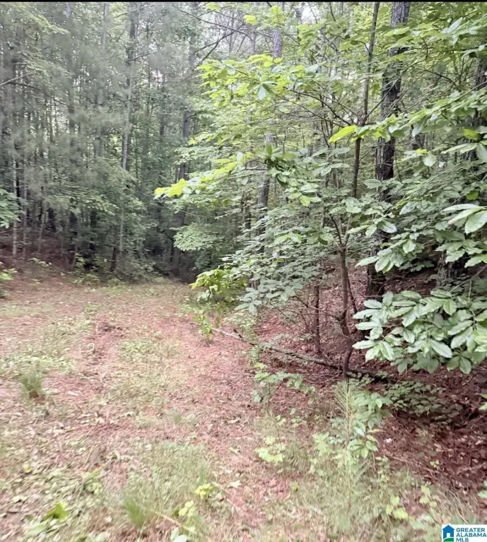 Picture 24