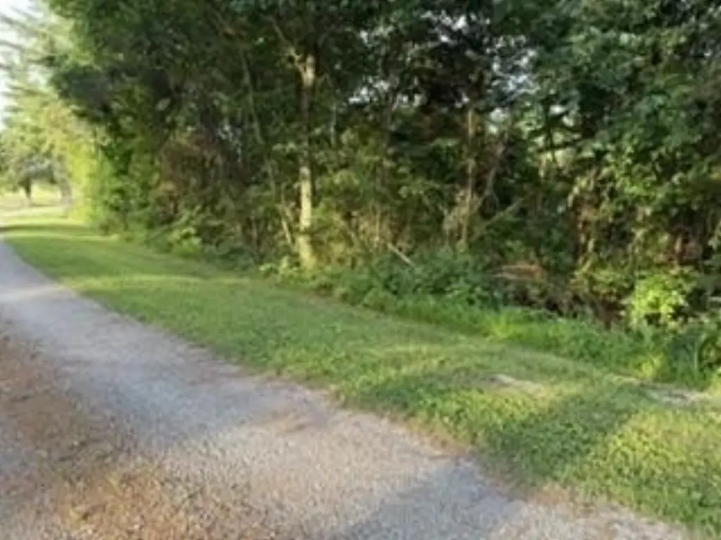Picture 2