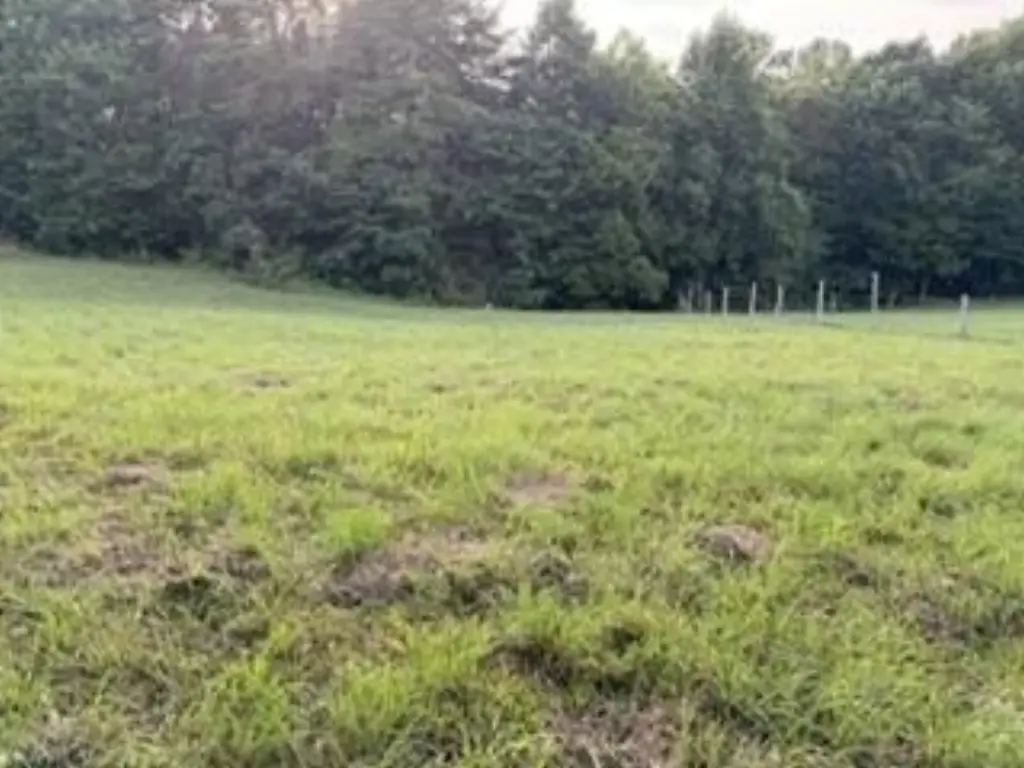 Picture 7
