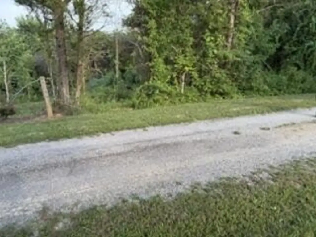 Picture 3