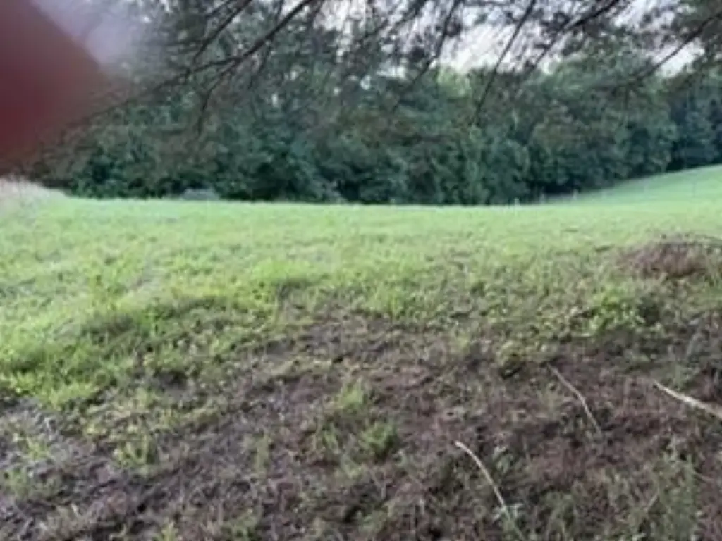 Picture 4