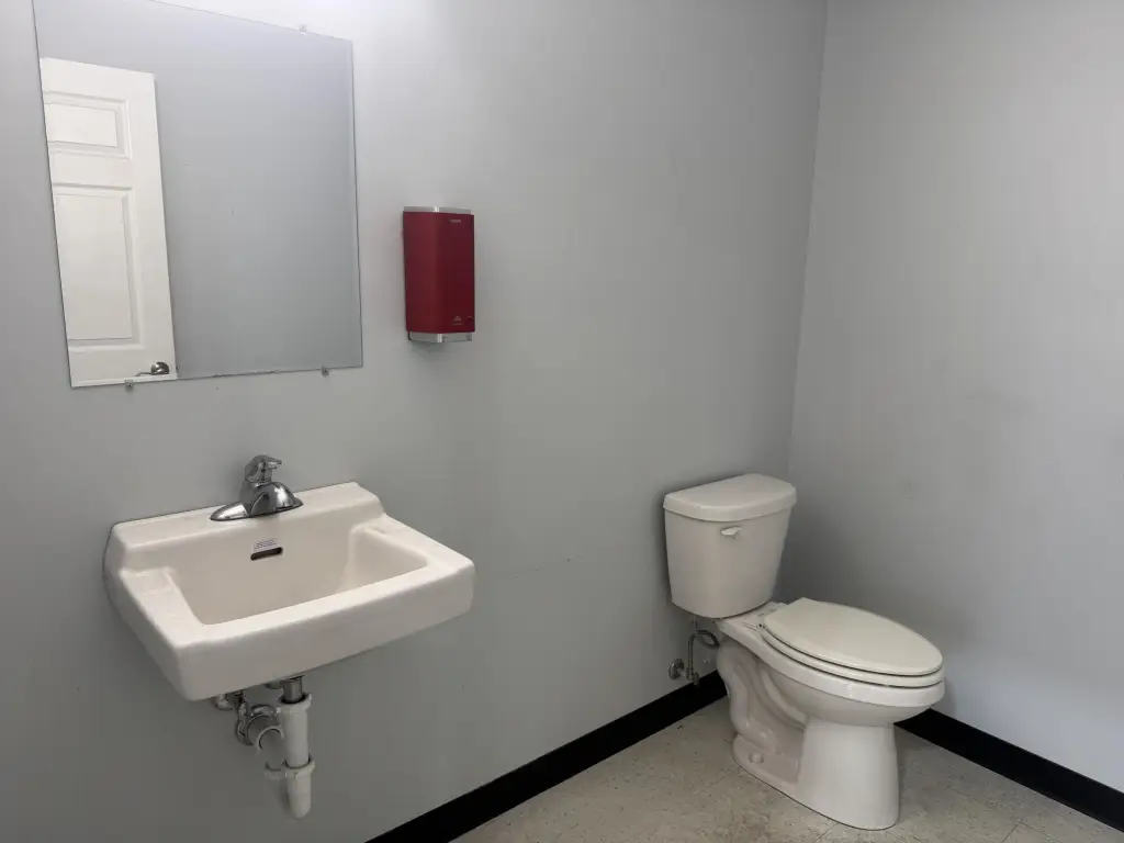 Picture 15