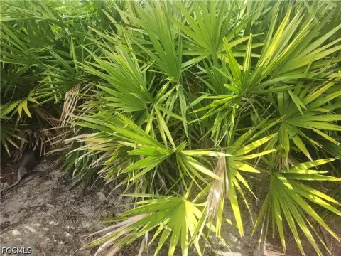 Residential Land in Mirror Lakes