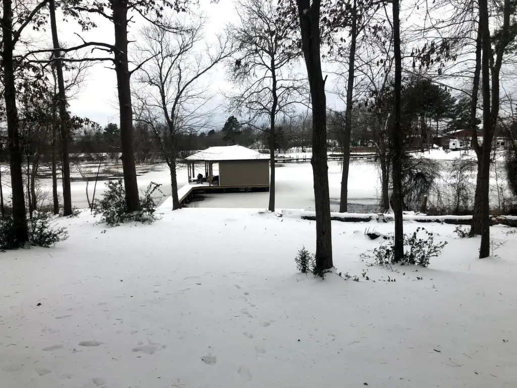 Picture 25