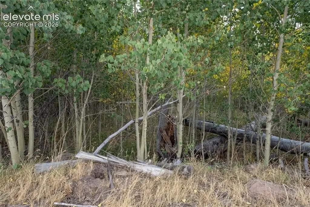 Picture 26