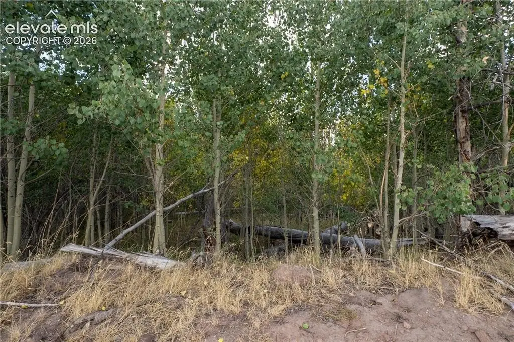 Picture 22