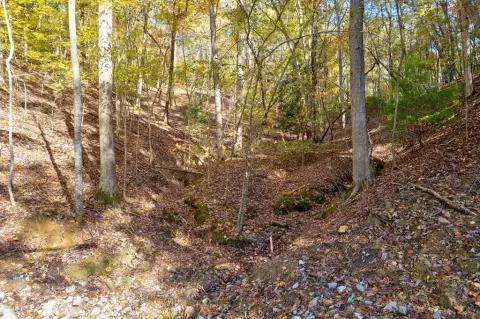 Ellijay, GA Vacant Lot