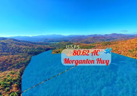 80+ Acres Mountain Retreat