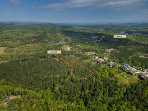 Lake Nottely Vacant Lot