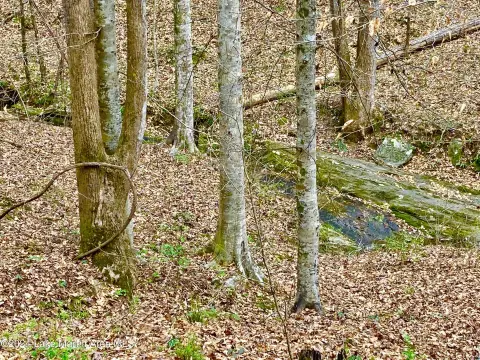 Unrestricted Lot with Water Access