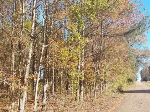 Residential Land in McLeod, TX